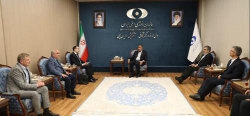 دیدار معاون شرکت روس اتم با رئیس سازمان انرژی اتمی