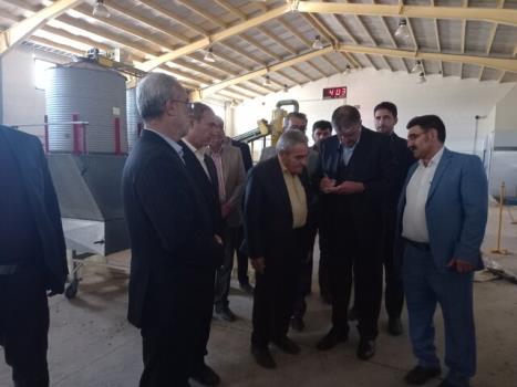 استفاده از فناوری هسته ای در باغات پسته رفسنجان