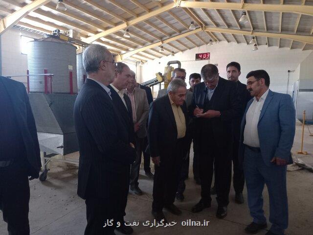 استفاده از فناوری هسته ای در باغات پسته رفسنجان