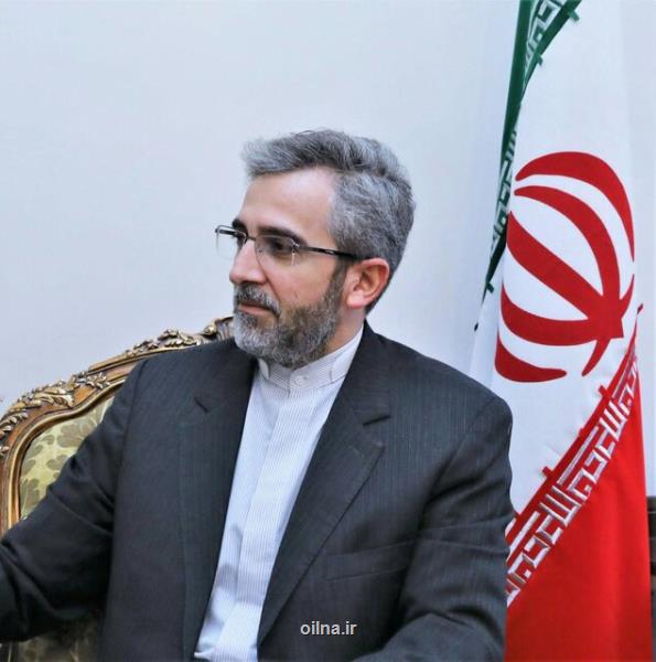 ایران، آمادگی طرفها برای دادن تعهدات پایدار را عامل حصول سریع توافق می داند