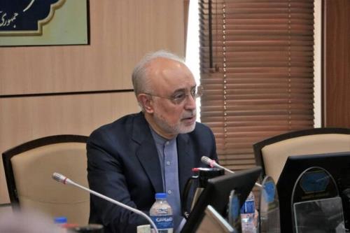 پیام تسلیت صالحی در پی درگذشت حسن غفوری فرد