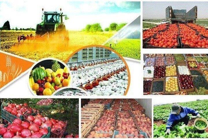 سهم ۰ و سه دهم درصدی ایران از صادرات صنایع غذایی جهان